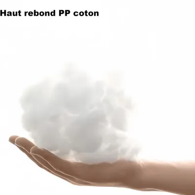 Pawzy Nid d'hiver en carré pour chien et chat Noir