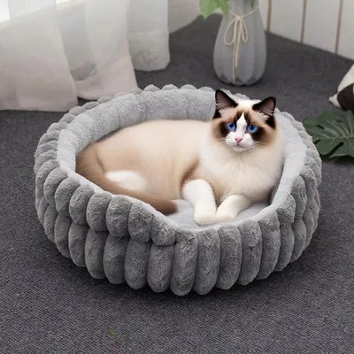 Pawzy Couchage chat douillet - Forme donut pour l'hiver