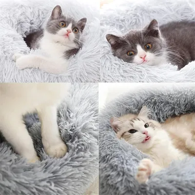 Pawzy Grotte de lit pour chat 50CM