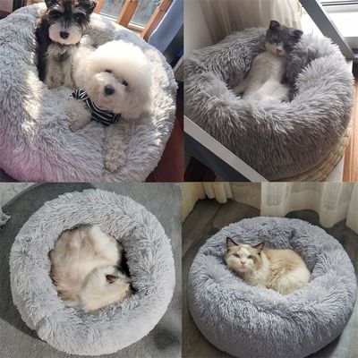 Pawzy Grotte de lit pour chat 50CM
