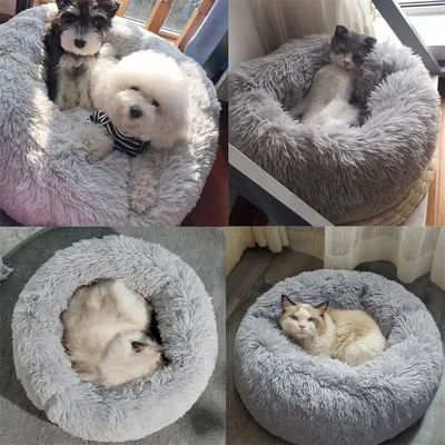 Pawzy Grotte de lit pour chat 50CM