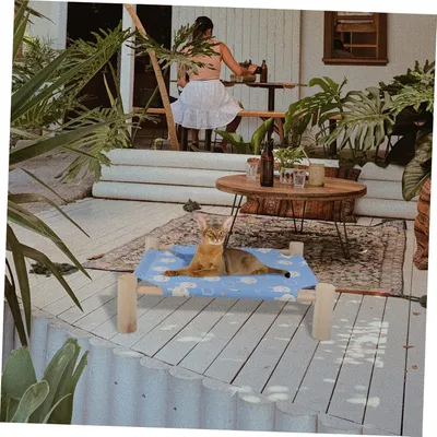 Pawzy Lit surélevé - Hamac lavable pour chat