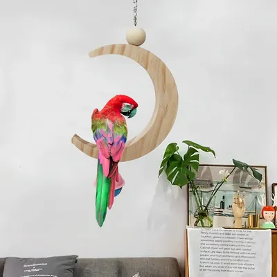 Pawzy Jouet en bois pour perroquet