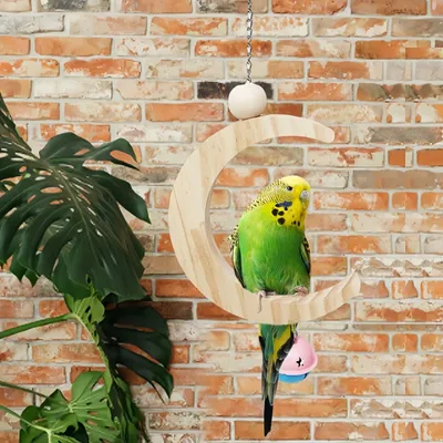 Pawzy Jouet en bois pour perroquet