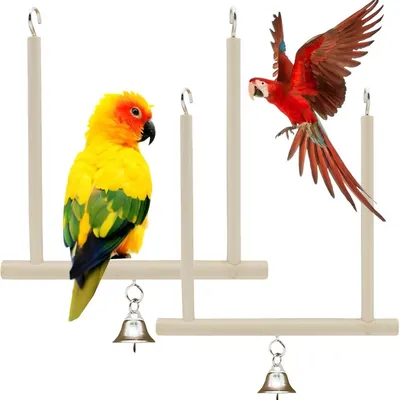 Pawzy Balançoire en bois naturel pour oiseaux