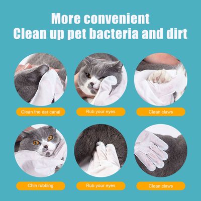 Gants jetables pour animaux de compagnie