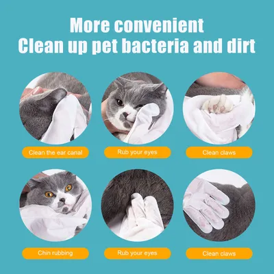 UAMLY Gants jetables pour animaux de compagnie