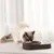 Pawzy Gamelle-fontaine 2 en 1 pour animaux