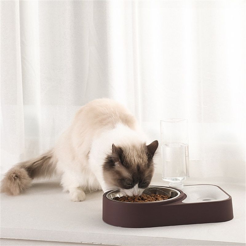 Pawzy Gamelle-fontaine 2 en 1 pour animaux
