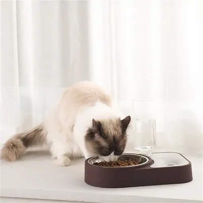 Pawzy Gamelle-fontaine 2 en 1 pour animaux
