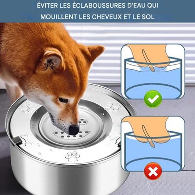 ZooVenture Spritzfester Wassernapf für Hunde und Katzen