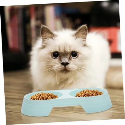 Pawzy Gamelle double chat/chien - Paille de blé, stable