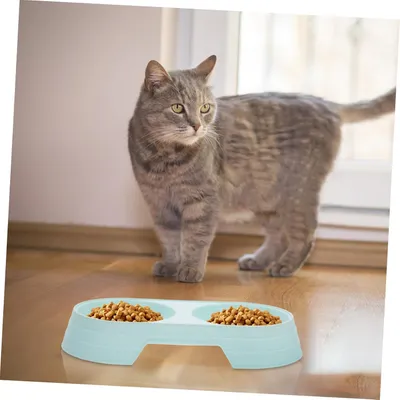 Pawzy Gamelle double chat/chien - Paille de blé, stable