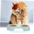 Pawzy Gamelle double chat/chien - Paille de blé, stable