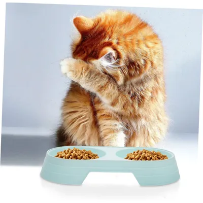 Pawzy Gamelle double chat/chien - Paille de blé, stable