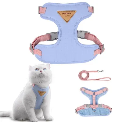 Pawzy Ensemble harnais et laisse pour chat