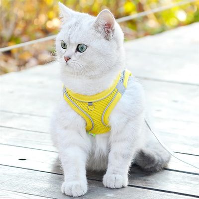 Pawzy Ensemble harnais et laisse pour chats jaune