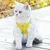 Pawzy Ensemble harnais et laisse pour chats jaune Pawzy Ensemble harnais et laisse pour chats jaune