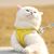 Pawzy Ensemble harnais et laisse pour chats jaune