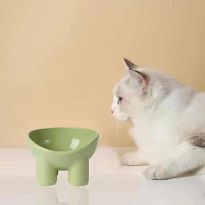 Pawzy Gamelle ergonomique pour chat