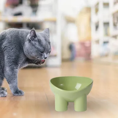 Pawzy Gamelle ergonomique pour chat