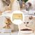 Pawzy Support gamelle ergonomique - Alimentation saine