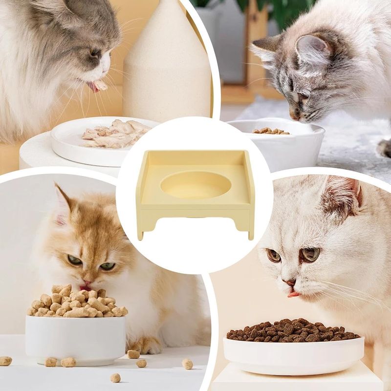 Pawzy Support gamelle ergonomique - Alimentation saine