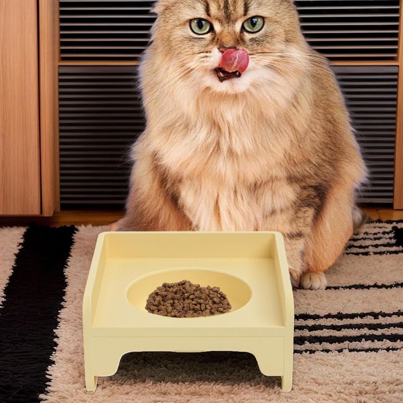 Pawzy Support gamelle ergonomique - Alimentation saine