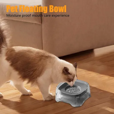 Pawzy Bebedero para gatos - Flotador a prueba de fugas