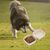 Pawzy Bol voyage pliable chien/chat - eau & nourriture