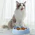 Pawzy  Gamelle anti-glouton chat - Ralentit la prise alimentaire