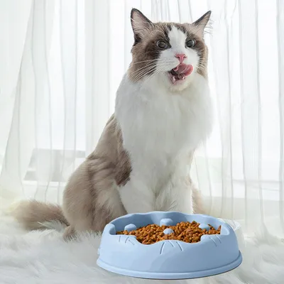 Pawzy  Gamelle anti-glouton chat - Ralentit la prise alimentaire