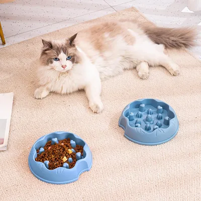 Pawzy Gamelle anti-glouton chat - Ralentit la prise alimentaire
