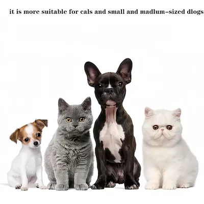 Pawzy Gamelle double bol anti-retournement chien/chat - Inox