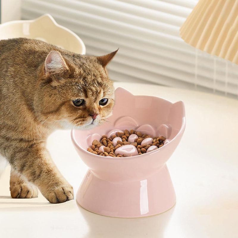 Pawzy Gamelle Chat Premium - Céramique Saine & Design Ergonomique