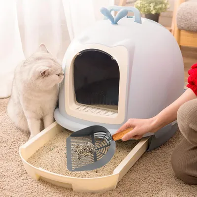 Pawzy Pelle litière chat - métal inox & manche bois