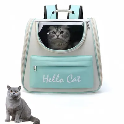 Pawzy Sac à dos transporteur pour chat