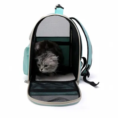 Pawzy Sac à dos transporteur pour chat