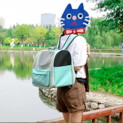 Pawzy Sac à dos transporteur pour chat