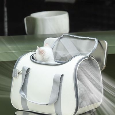 Zoomtopia Porte - chat pour animaux de compagnie