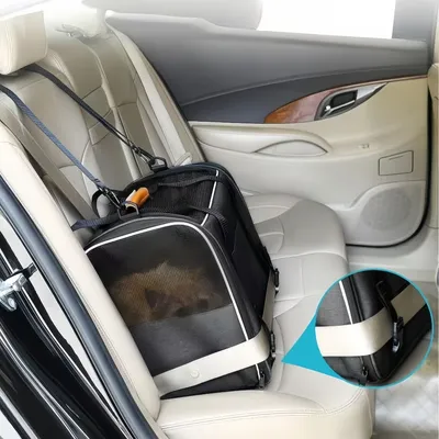 Zoomtopia Cage de transport pour chat