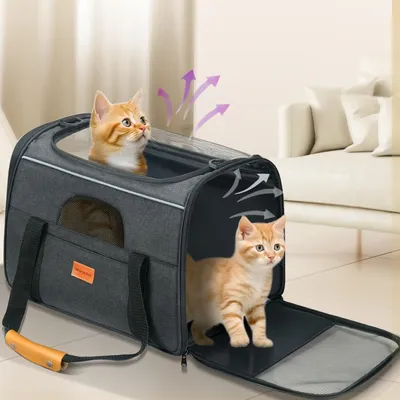 Zoomtopia Transportbox für Katzen