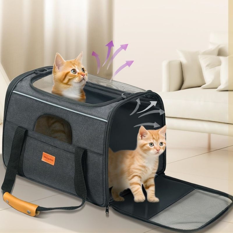 Zoomtopia Cage de transport pour chat