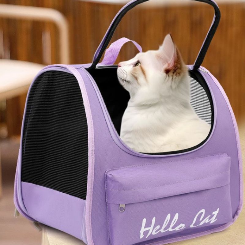 Pawzy Sac à dos transporteur pour chat et chien