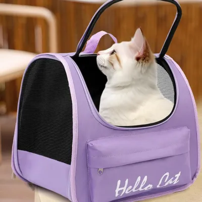 Pawzy Sac de voyage pour chat et chien Violet