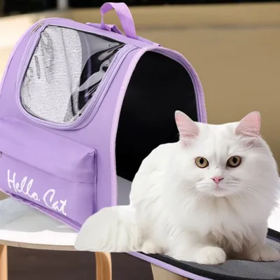 Pawzy Sac de voyage pour chat et chien Violet
