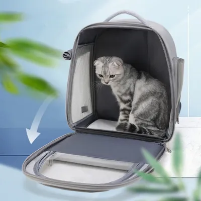 Zoomtopia Sac à dos de transport pour animaux de compagnie