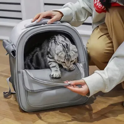 Zoomtopia Sac à dos de transport pour animaux de compagnie