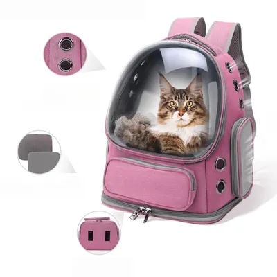 Zoomtopia Sac à dos ventilé pour chat
