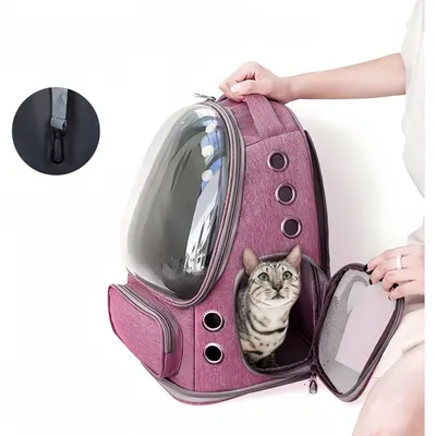 Zoomtopia Sac à dos ventilé pour chat